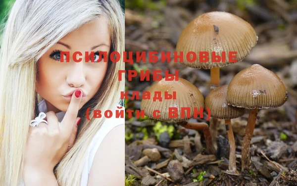 гашишное масло Балабаново