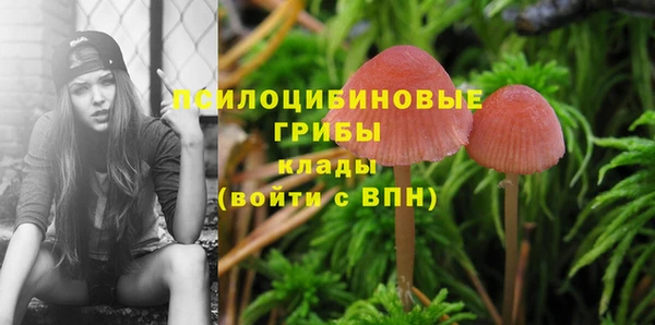 mdpv Баксан