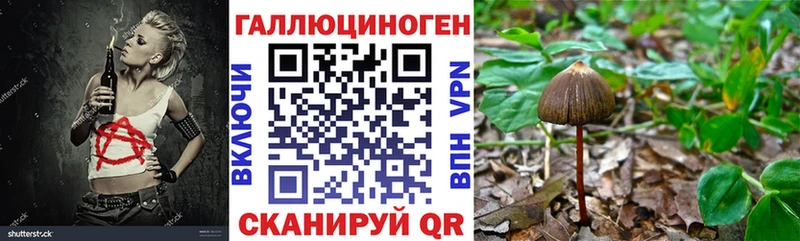 где продают Горячий Ключ Псилоцибиновые грибы Magic Shrooms